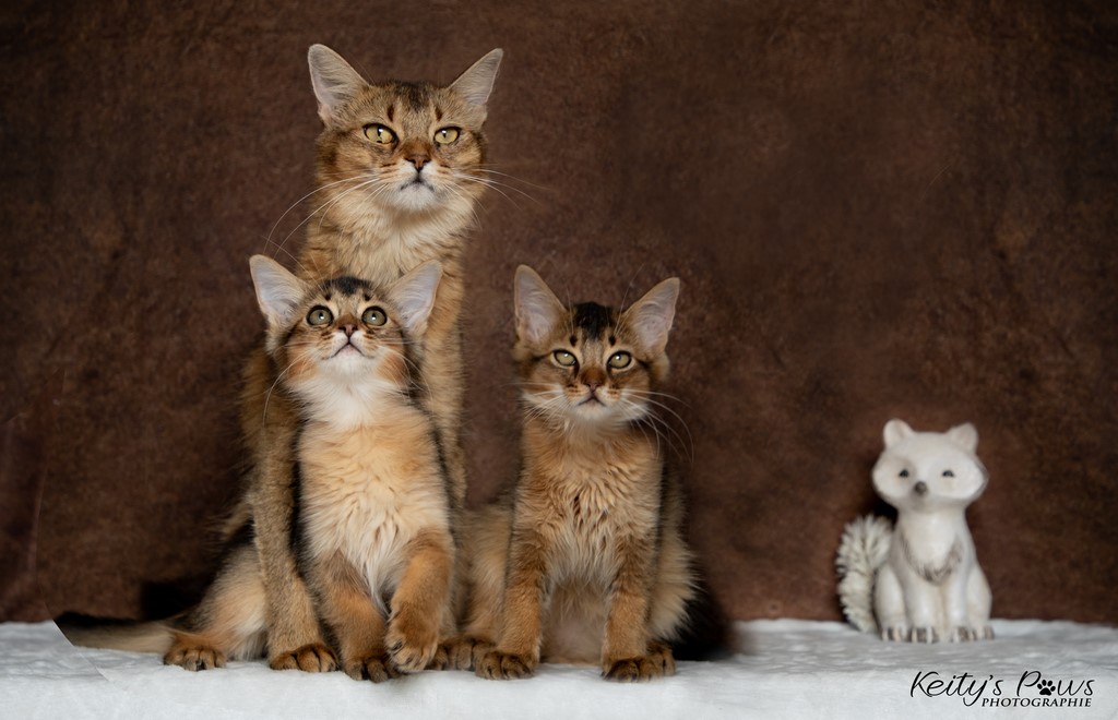  Vision Sola Wanda Vixy 3 Mois et maman