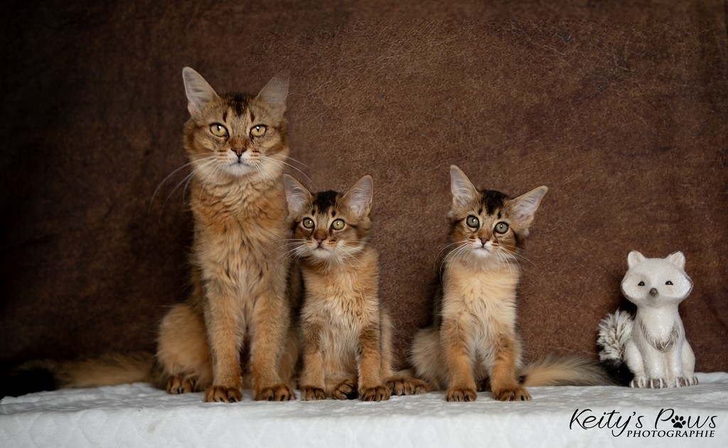  Vision Sola Wanda Vixy 3 Mois et maman