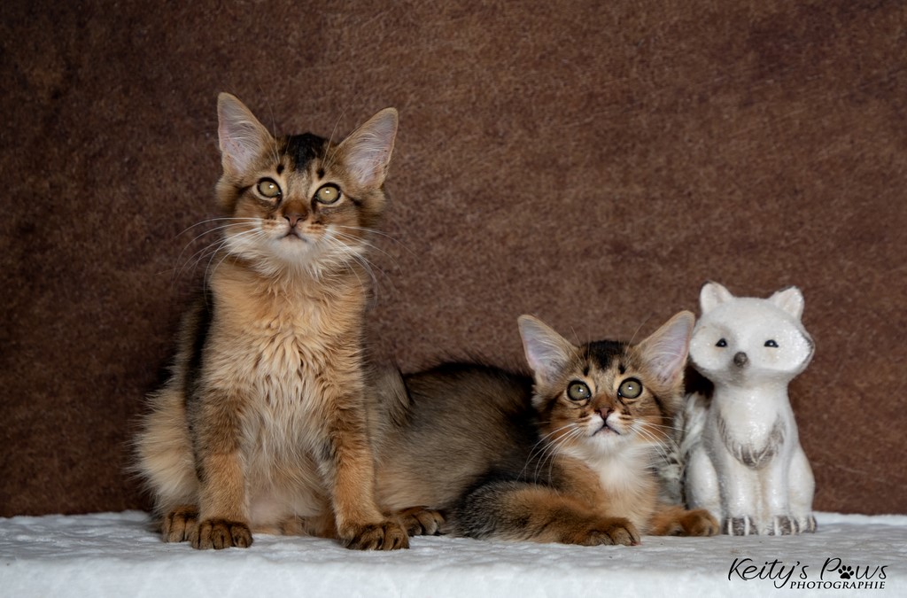  Vision Sola Wanda Vixy 3 Mois 