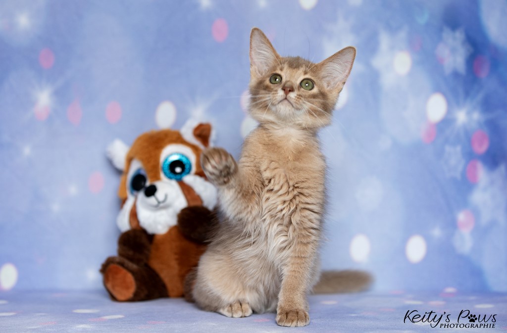  Zariyã Sitarã  2 Mois