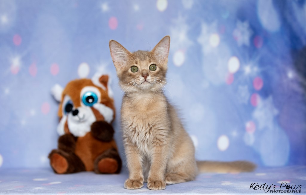  Zariyã Sitarã  2 Mois