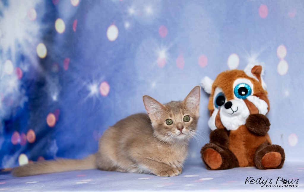  Zariyã Sitarã  2 Mois