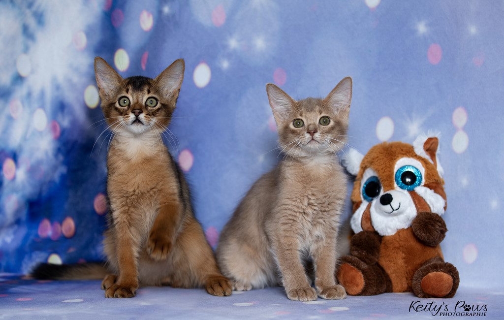 Zariyã Sitarã & Zéphyr Voltaire 2 Mois