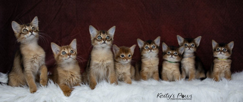 Adāhya-Allumette  & Aïdan-Aïko 1 Mois