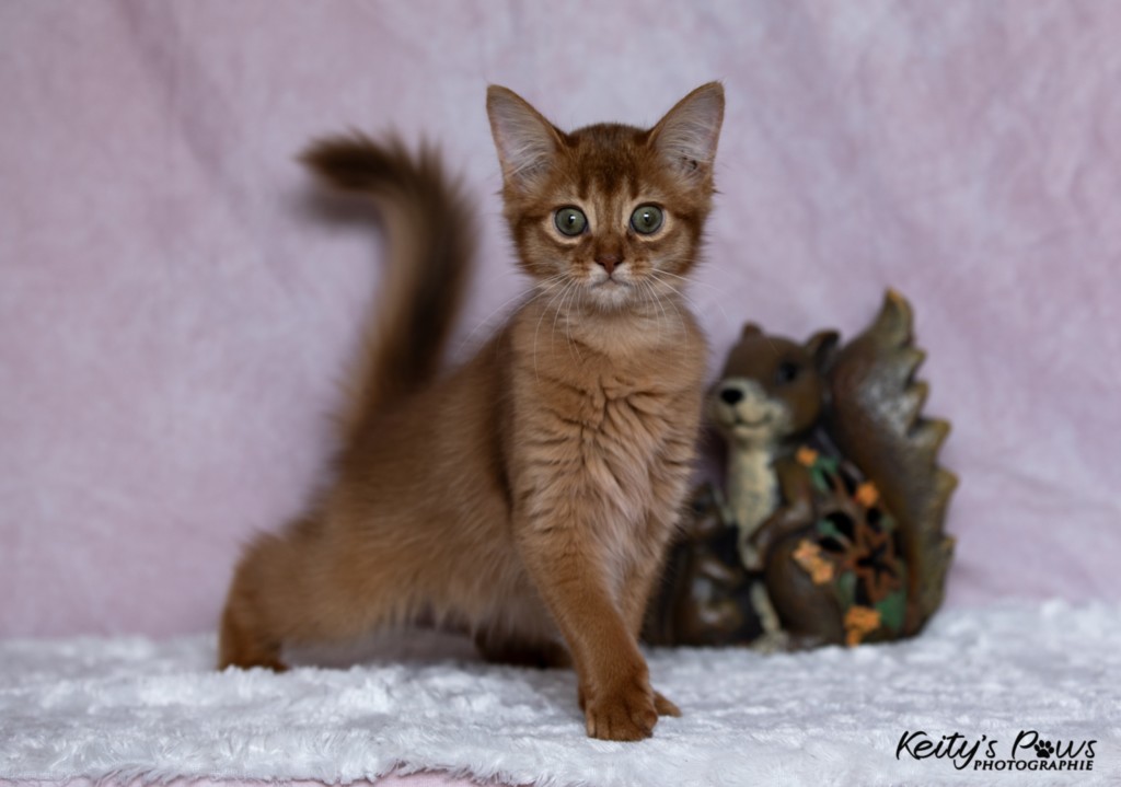 Athena -Abigail  3 Mois