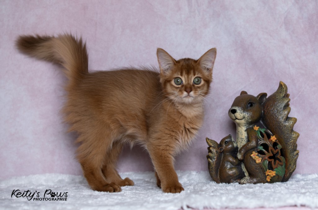 Athena -Abigail  3 Mois