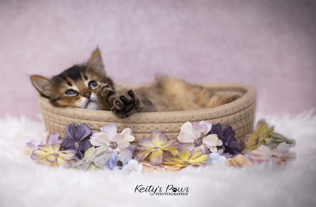 Unstoppable Ultima 1 Mois