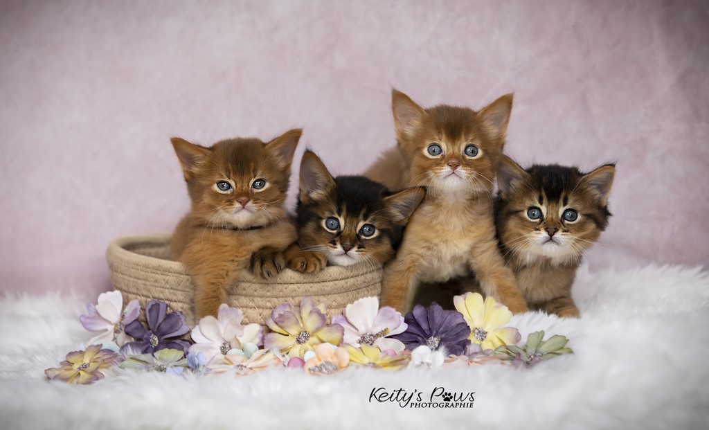 Unstoppable Ultima 1 Mois (droite)