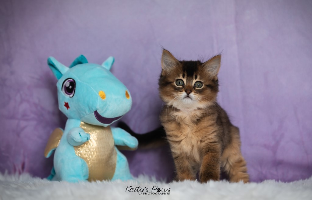 Unstoppable Ultima 1 Mois