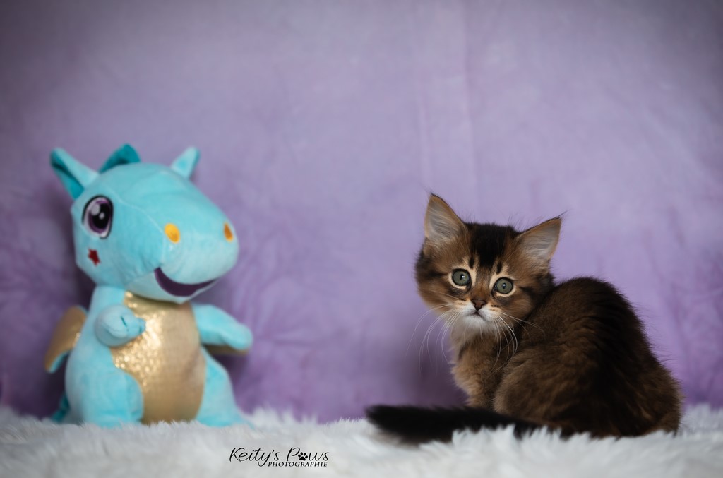 Unstoppable Ultima 1 Mois