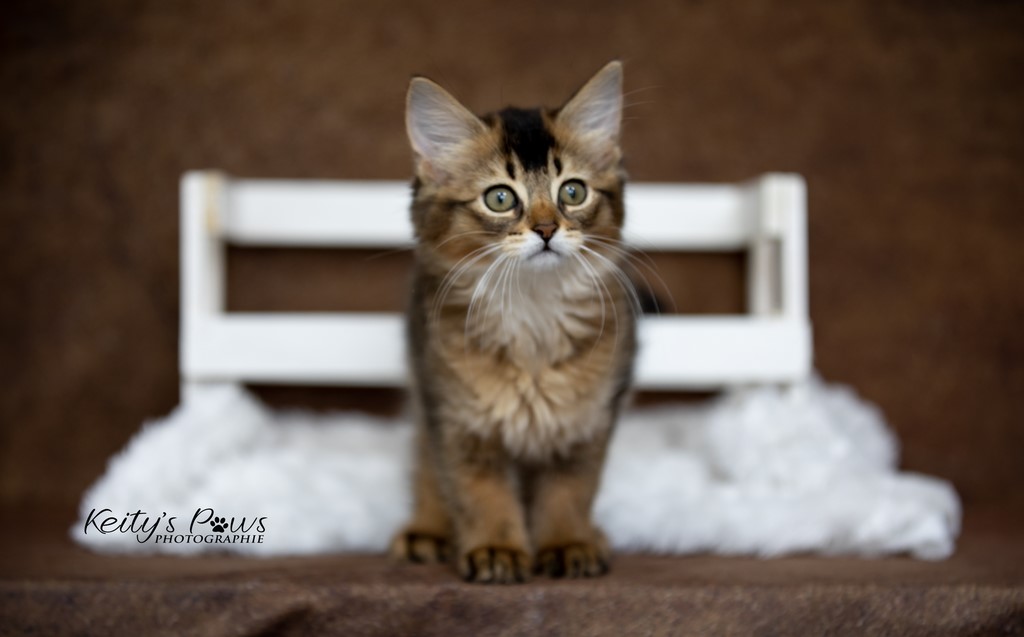 Unstoppable Ultima 2 Mois