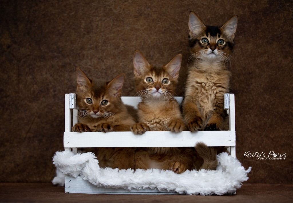 Lana Kara Lolita 2 Mois