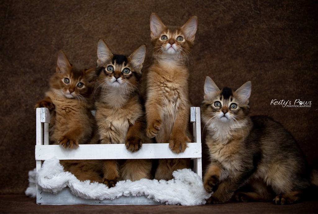 Lana Kara Lolita 2 Mois