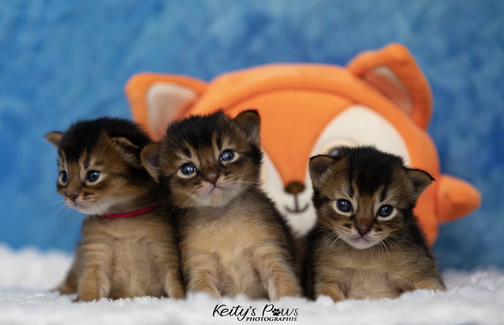 Alya Altaïr Ankãa  2 Semaines