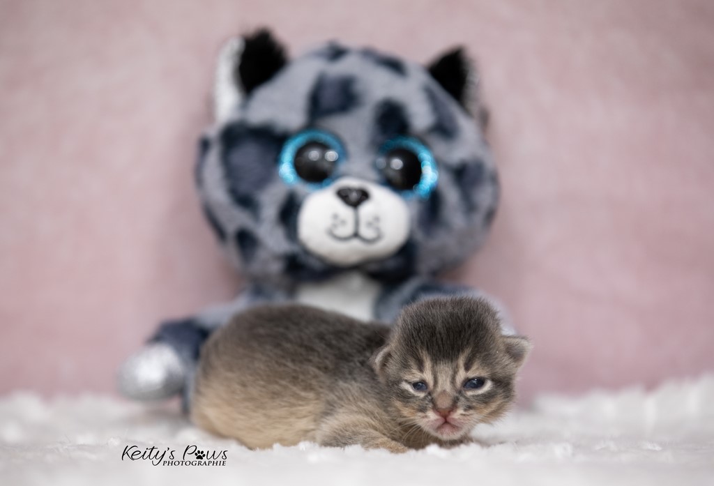 1 Semaine Underwater Ubi 