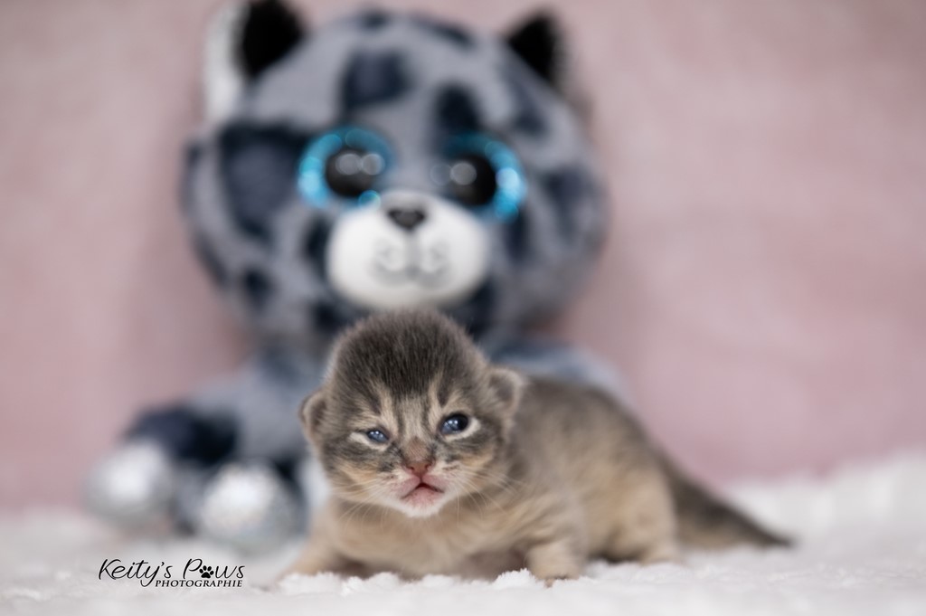 1 Semaine Underwater Ubi 