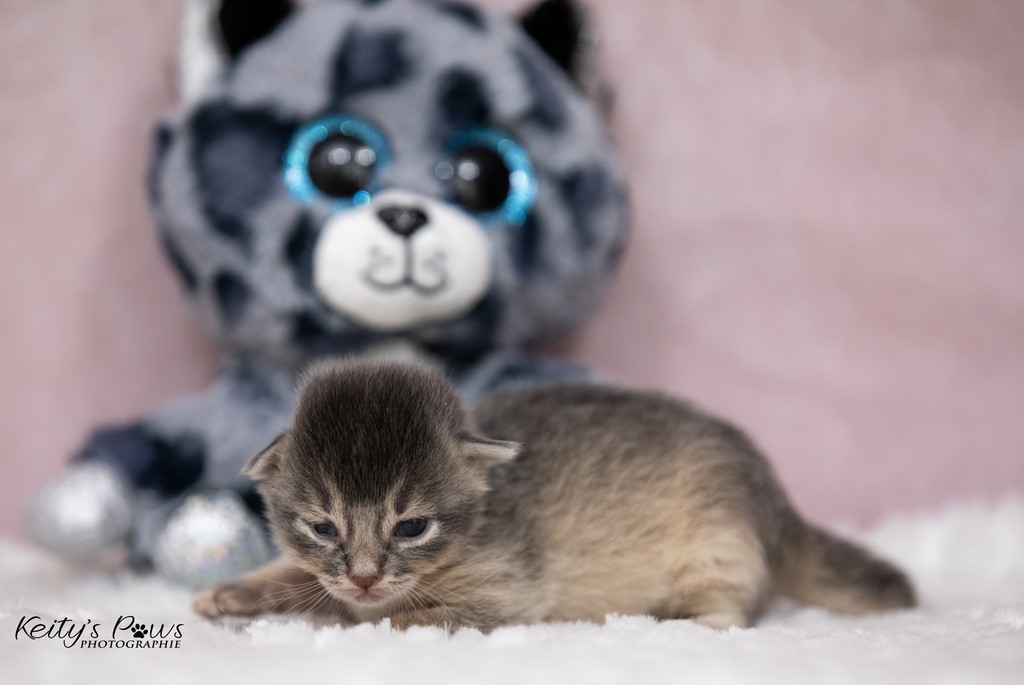 1 Semaine Underwater Ubi 