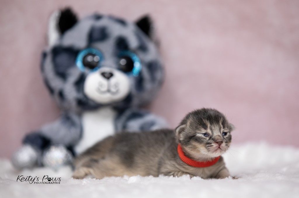 1 Semaine Underwater Sori 