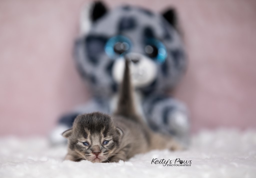 1 Semaine Underwater Sori 