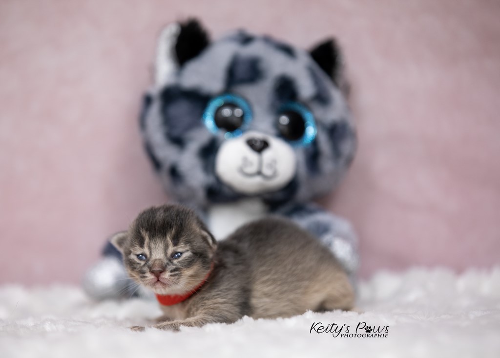 1 Semaine Underwater Sori 