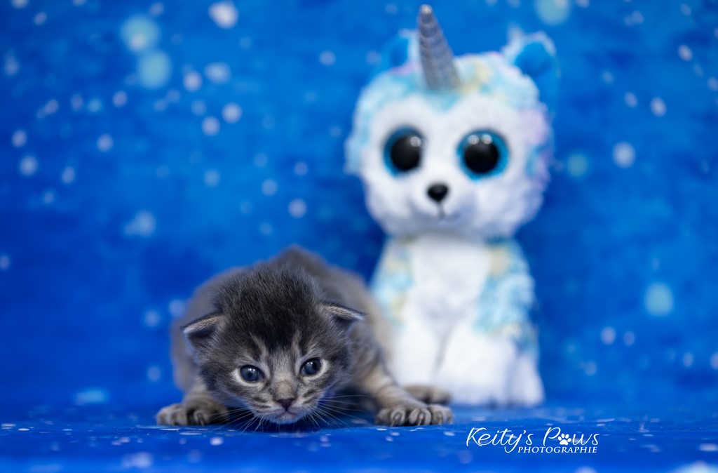 2 semaines Underwater Sori