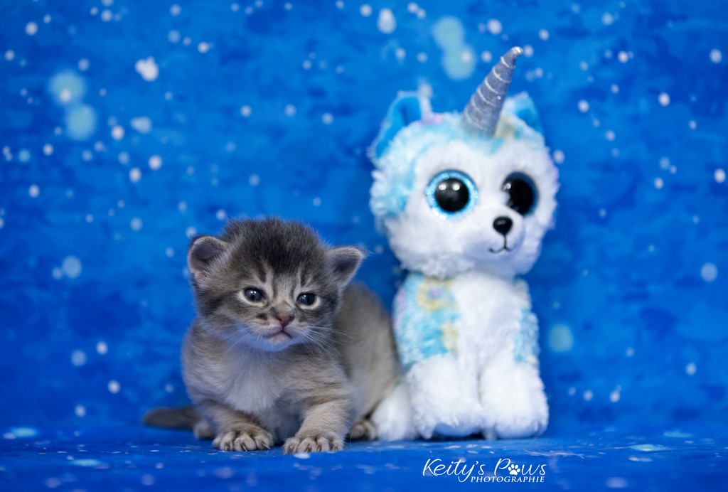 2 semaines Underwater Ubi