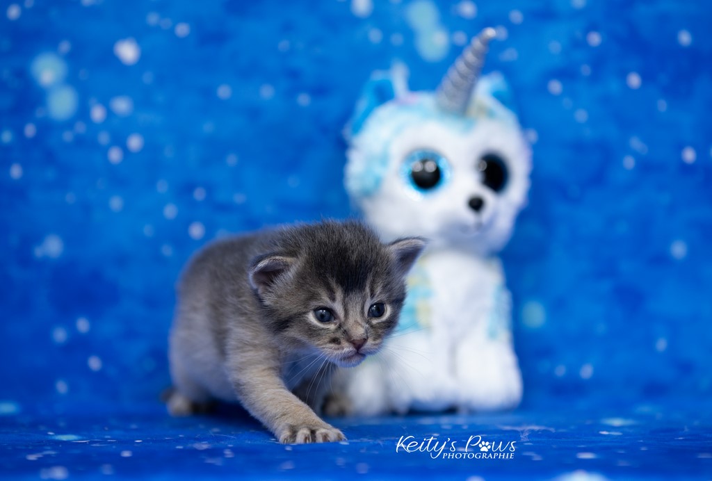 2 semaines Underwater Ubi