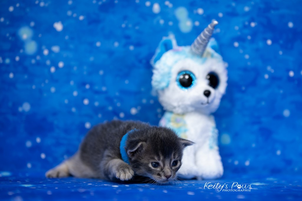 2 semaines Underwater Sirius