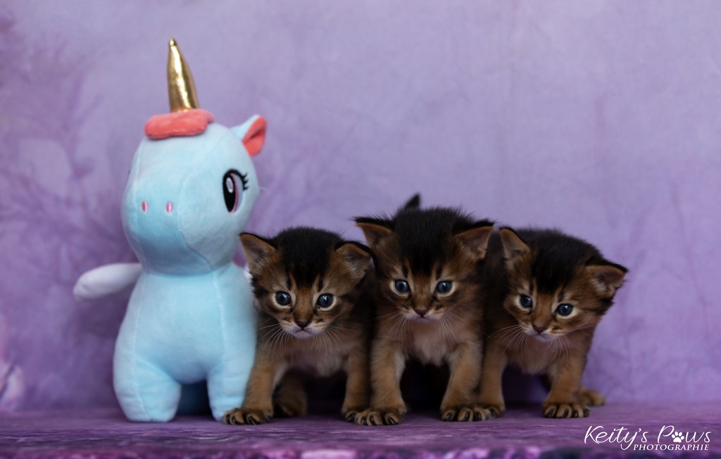 Alya Altaïr Ankãa  3  Semaines