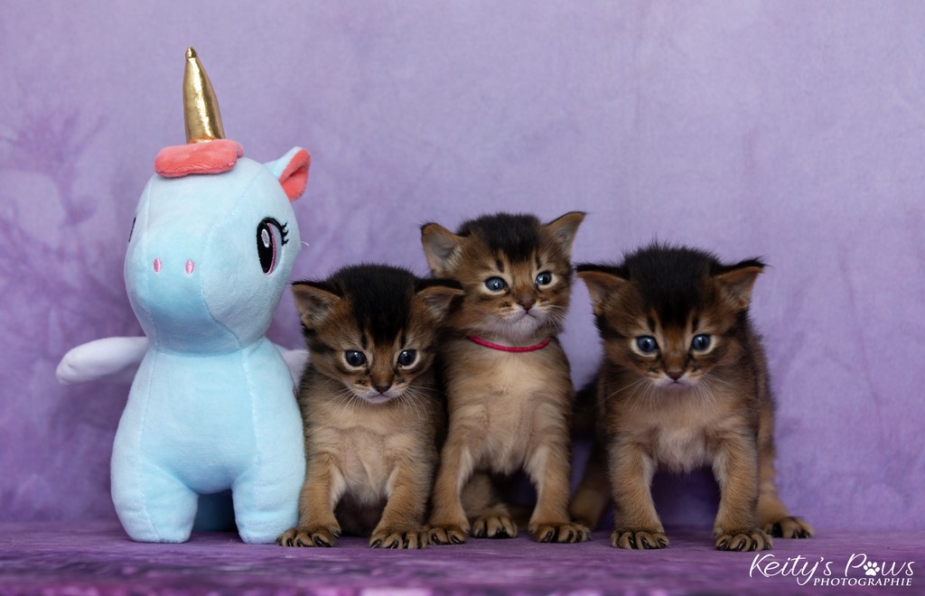 Alya Altaïr Ankãa  3 Semaines