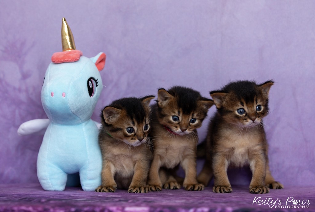 Alya Altaïr Ankãa  3  Semaines