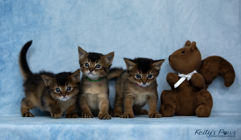 Alya Altaïr Ankãa 1 Mois