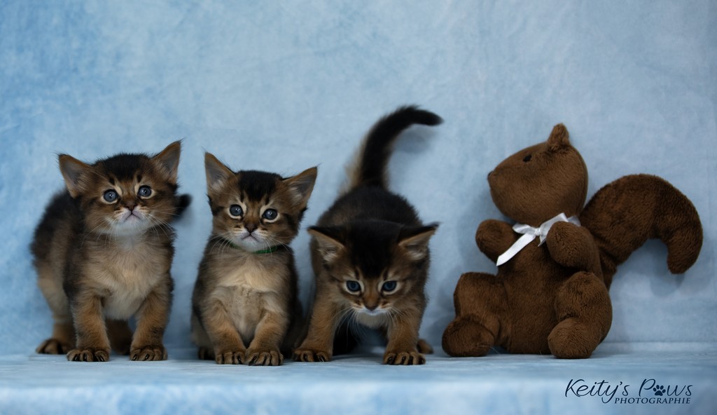 Alya Altaïr Ankãa 1 Mois