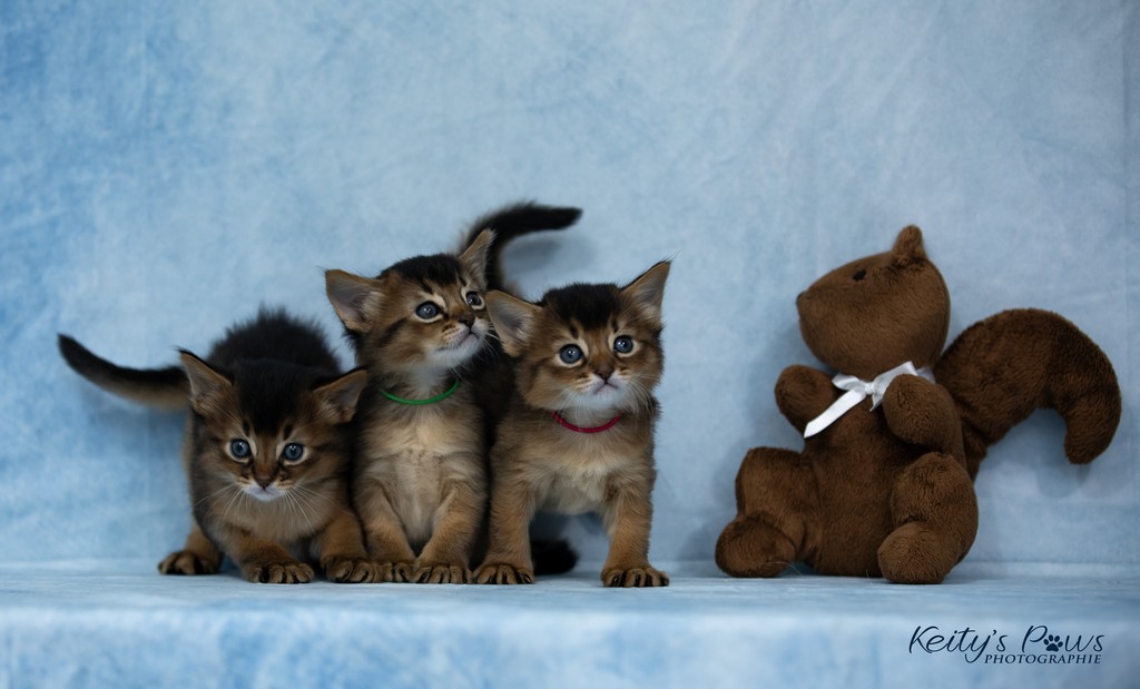 Alya Altaïr Ankãa 1 Mois