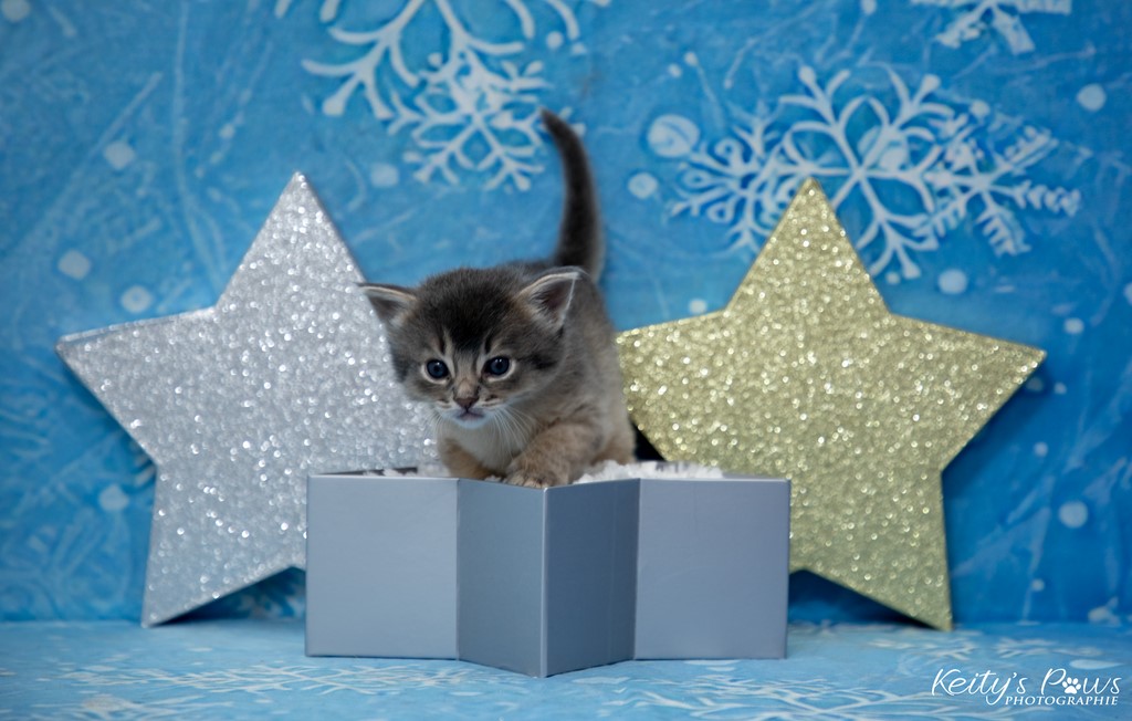 Underwater Ubi 3 Semaines