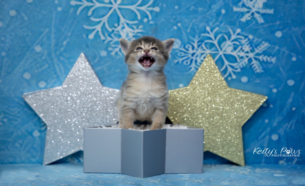 Underwater Ubi 3 Semaines