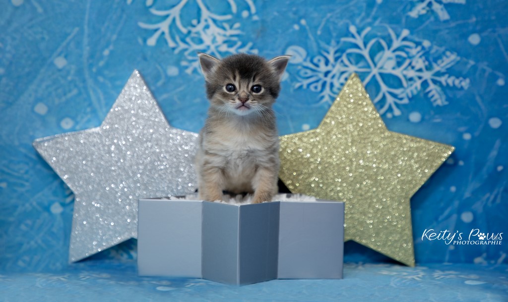 Underwater Ubi 3 Semaines