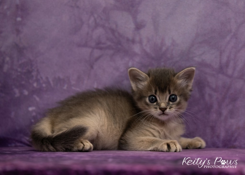 1 Mois