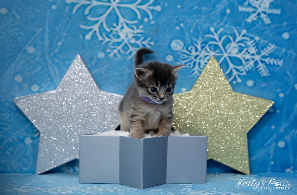 Underwater  Sori 3 Semaines