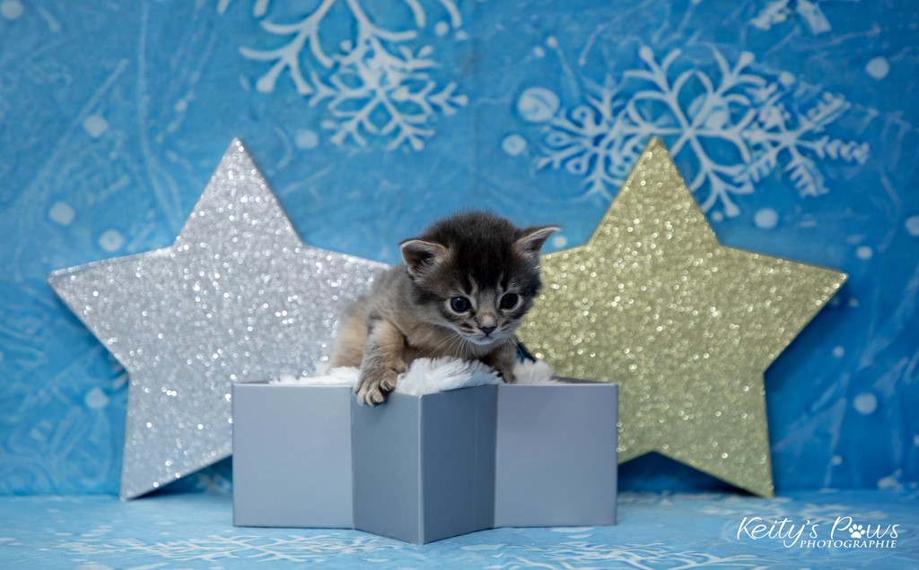 Underwater  Sori 3 Semaines