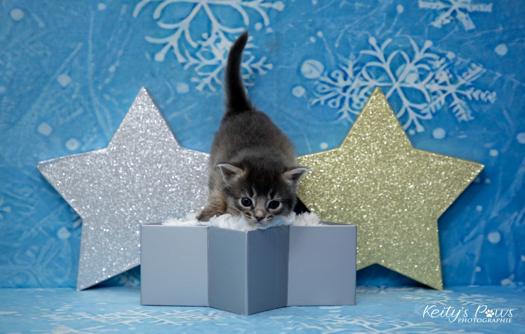 Underwater  Sori 3 Semaines