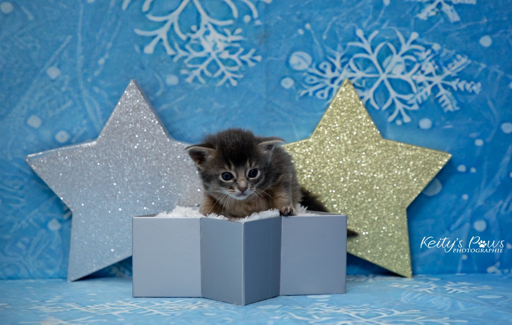 Underwater  Sirius 3 Semaines