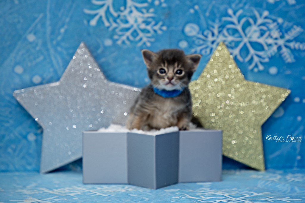 Underwater  Sirius 3 Semaines