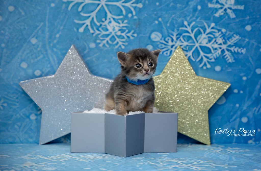 Underwater  Sirius 3 Semaines