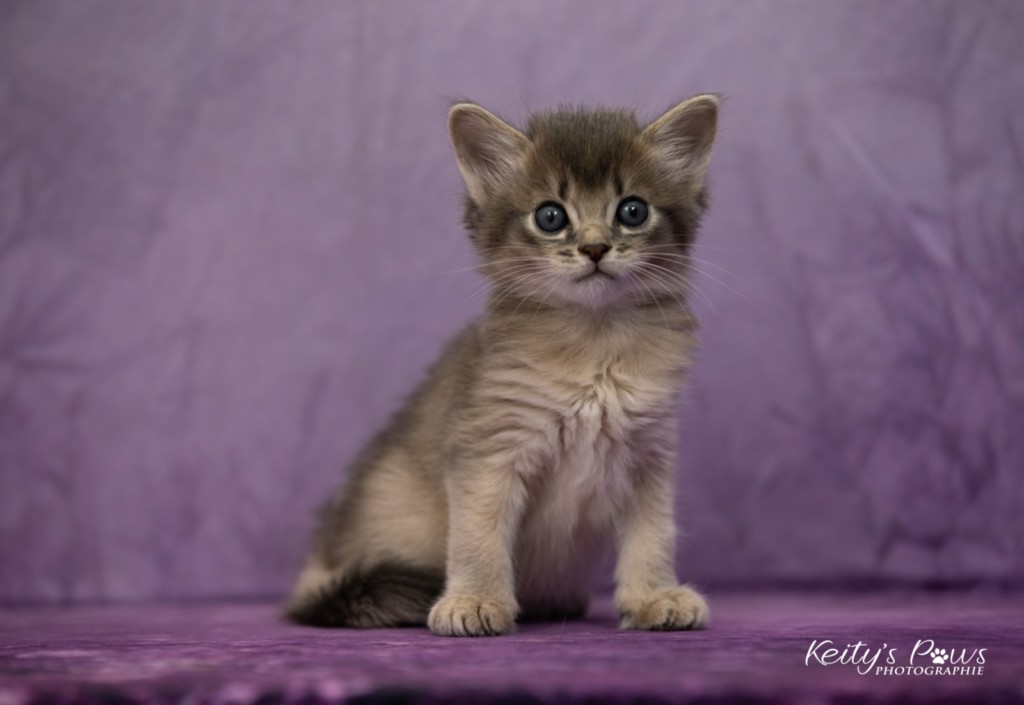 1 Mois