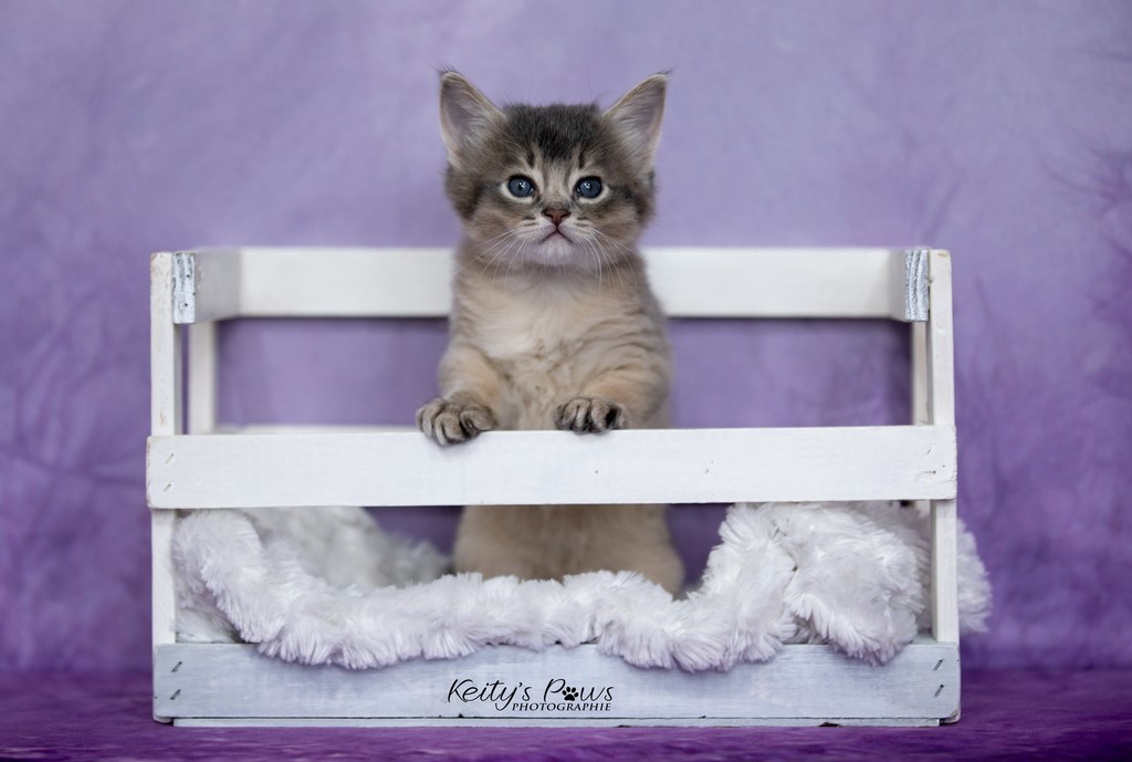 Underwater Ubi  1 Mois