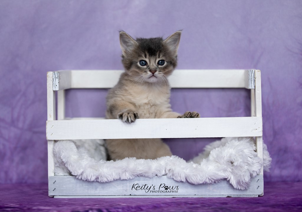 Underwater Ubi  1 Mois