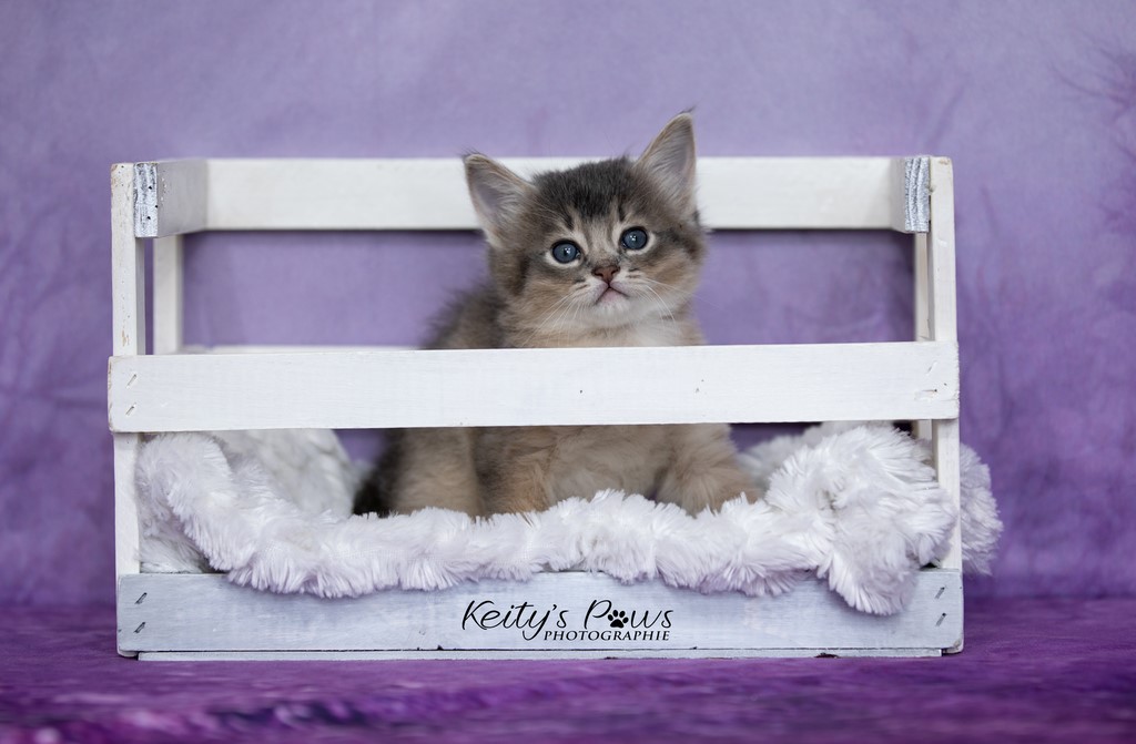 Underwater Ubi  1 Mois