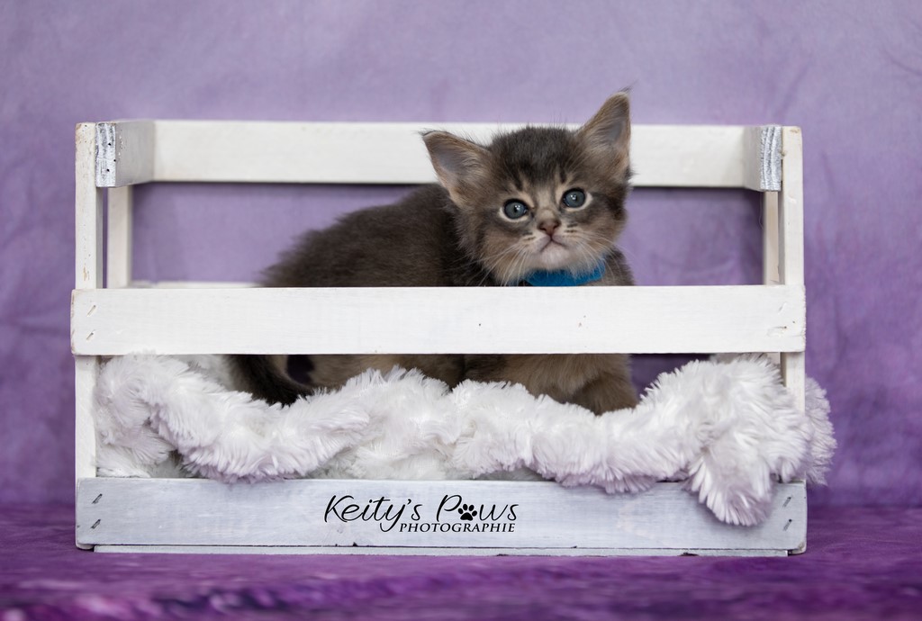 Underwater Sirius  1 Mois