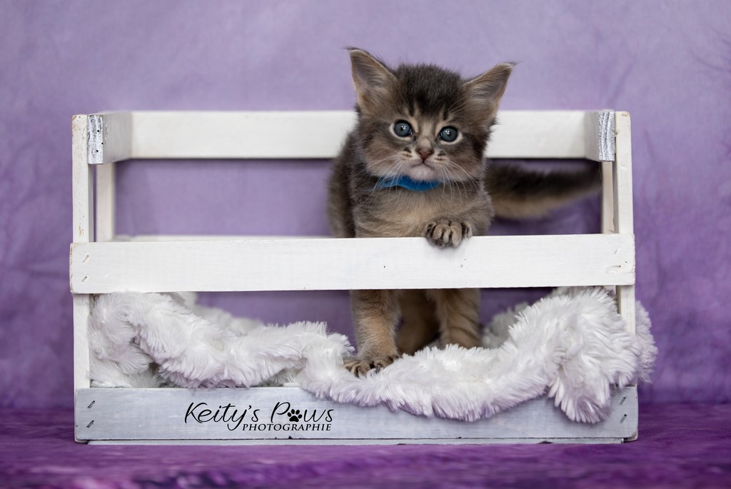 Underwater Sirius  1 Mois